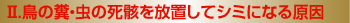 対策