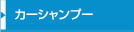 カーシャンプー