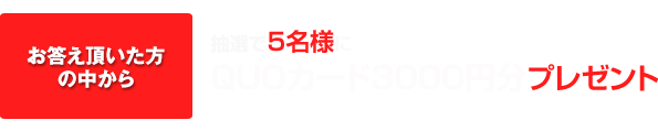 お答え頂いた方の中から抽選で5名様に
QUOカード3000円分プレゼント